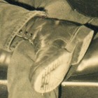 Picture for song 'The Honeymoon Song' by artist 'The Wrong Pigs'