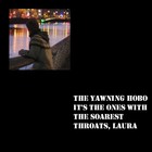 Picture for song 'Grand Canyon (Magnetic Fields)' by artist 'The Yawning Hobo'