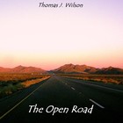 Picture for song 'Flying Blind' by artist 'Thomas J Wilson'