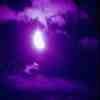 Picture for song 'The Night Walker' by artist 'Thomas Trotter'