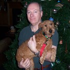 Picture for song 'Is Your Doggie From Ireland.mp3' by artist 'Tick Spinach'