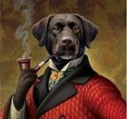 Picture for song 'Friends in Low Places' by artist 'Tim Green'