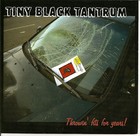 Picture for song 'Skittles' by artist 'Tiny Black Tantrum'
