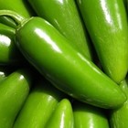 Picture for song 'Jalapeno Jam' by artist 'Todd Weller'