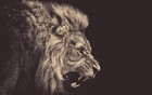 Picture for song 'Fiend \TRAP\' by artist 'Tonez Beatz'