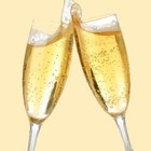Picture for song 'BOTTLE AFTER BOTTLE *CLUB/DUB BANGER* (.75 demo)' by artist 'Topmass Productions'
