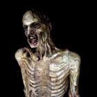 Picture for song 'Perfect Pitiful' by artist 'Tracing Shadows'