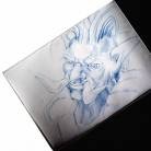 Picture for song 'im a troll' by artist 'T-RAIL baby beast'