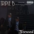 Picture for song 'Danger Zone' by artist 'Triple B'
