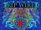 Picture for song 'The Viking' by artist 'TripWired1'