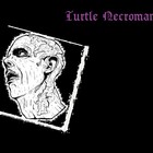 Picture for song 'I's Peeled' by artist 'Turtle Necromancer'