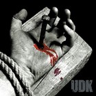 Picture for song 'Nosebleed' by artist 'UDK'
