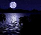 Picture for song 'Sandy Beach Stroll (skim version)' by artist 'UnSparkPlugged'