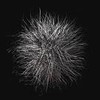 Picture for song 'Shrapnel' by artist 'Upstart'