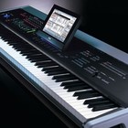 Picture for song 'she' by artist 'utrinque paratus'