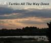 Picture for song 'Turtles All The Way Down' by artist 'Vek Selene and Ground Truth'