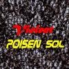 Picture for song 'Poisen Sol' by artist 'Violent'