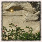 Picture for song 'Vision' by artist 'Vizitatur'