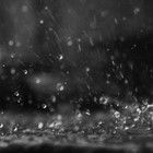 Picture for song 'rain (for sale)' by artist 'wado production'