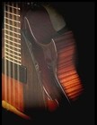 Picture for song 'Reuben Sandwich' by artist 'Walla Walla Pickers'