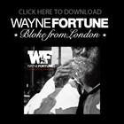 Picture for song 'Cold Hearted' by artist 'Wayne Fortune Bloke From London'