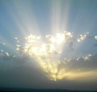 Picture for song 'The Rebirth' by artist 'Weaz Bean - DCF'