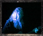 Picture for song 'You Fall' by artist 'Will Carroll'