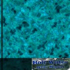 Picture for song 'Holy Water' by artist 'Willy Minnix'