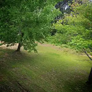 Picture for song 'Fear Of Losing You' by artist 'WolfLove'