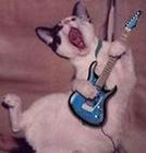 Picture for song 'Kidney Stone Blues (by Beth Williams)' by artist 'Wrabek's Works in Progress'