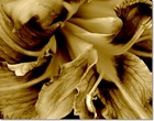 Picture for song 'automn in N.Y.C' by artist 'Wrecka Beatz'