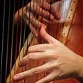 Picture for song 'Arioso_J-S-Bach.mp3' by artist 'Xenia Horne Harpist'