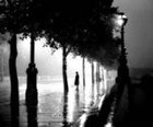 Picture for song 'rainy days' by artist 'yungamaze'