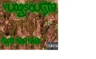 Song picture