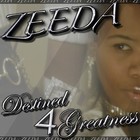 Picture for song 'Dream Killaz' by artist 'zeeda'