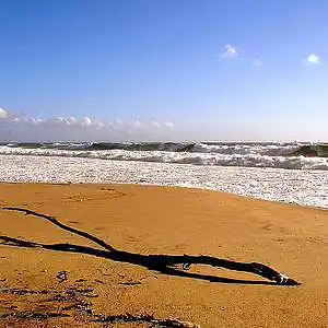 Picture for song 'Playa Del Rey' by artist 'agronegro'