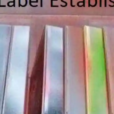 Picture for song 'Bassmaster 3000 ON MTV CRIBS' by artist 'The Big Delicious Thugs'