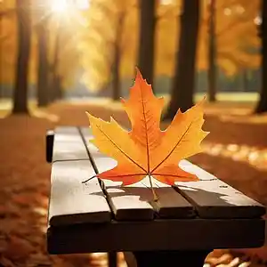 Picture for song 'Maple Leafs' by artist 'Dr. Berry'