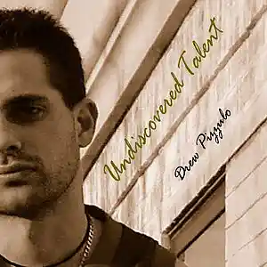 Picture for song 'CHEEK TO CHEEK' by artist 'Drew Pizzulo'