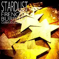 Picture for song 'Stardust' by artist 'Frenchy Burrito And The Folk Pistols'