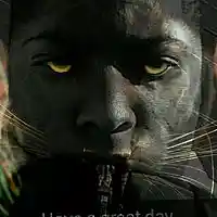 Picture for song 'reggae beat' by artist 'gbnent'