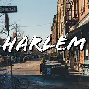 Picture for song 'HARLEM (BUY 1 GET 3 FREE)' by artist 'PINK MOLLY BEATZ'