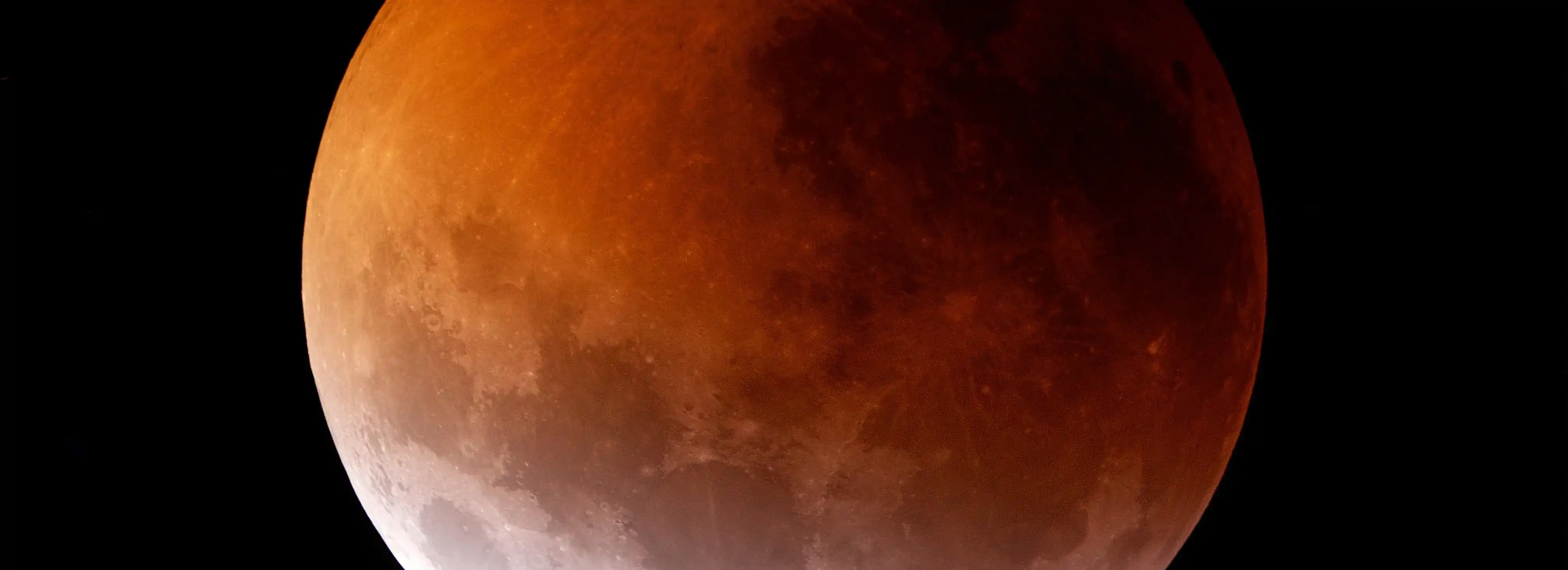 cover pic
