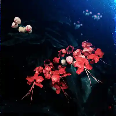 Picture for song 'Sad Lo-fi Type Beat - No More Lies' by artist 'Boomism Beats'
