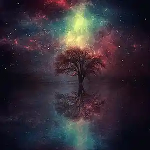 Picture for song 'Obscure' by artist 'Brodacious'