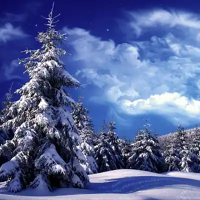 Picture for song 'Walkin' in a winter wonderland - instrum.' by artist 'MGlennM'