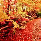 Picture for song 'Leaf Blowin' Blues' by artist 'Michael Gargano'