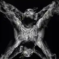 Picture for song 'SkyHigh' by artist 'QMarkProductions'