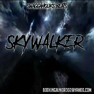 Picture for song '!!NEW!! Skywalker' by artist 'SWAGGAHOLIKS BEATS'
