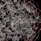 Picture for song 'THE DEEP' by artist 'TH3 FURY'